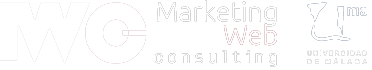 Marketing Web Consulting